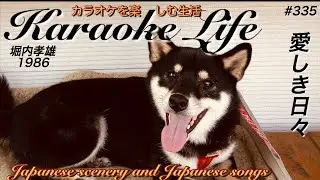 愛しき日々　鶴ヶ城・福島県（Tsurugajo Castle・Fukushima Prefecture）