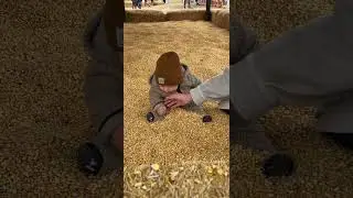 Baby Plays With Corn Kernels While Sitting in Pumpkin Patch - 1373075