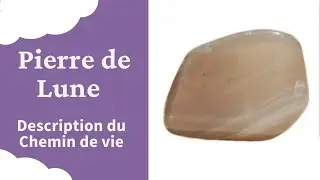 Pierre de Lune du Bracelet Chemin de vie Explication Signification Comment interpr&eacute;ter Lithoth&eacute;rapie