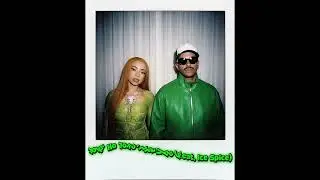 Feid ft. Ice Spice - No Love Justo Vibe ( Audio Oficial Filtrado )
