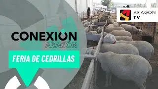 Llega la Feria Agr&iacute;cola, Ganadera e Industrial de Cedrillas