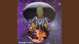 Seguimos