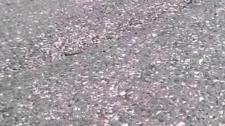 Mini 1275 RC40 sound