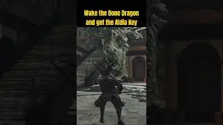Wake the Bone Dragon and get the Aldia Key. Aldia's Keep - Dark Souls 2 #darksouls2 #ds2