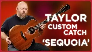 Is Cocobolo The Coolest Tonewood? Taylor's Catch Custom Sequoia with Sinker Redwood