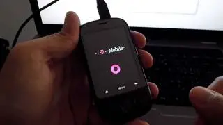 Rooting the Pulse Mini
