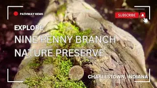 Explore Nine Penny Branch Nature Preserve in Charlestown, Indiana