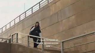 Факты Факты о теле человека интересные видео #funny  #short  #shorts