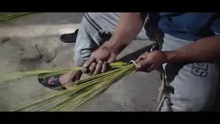 Traditional Broom Making from Coconut Leaves #RuralAgriculture #TraditionalFarming