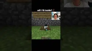 Minecraft Will I Fit Moment