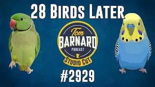 28 birds later - #2929