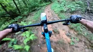 Dupont-  Brier Forks and Twin Oaks Loop from Turkey Knob to Joanna Rd