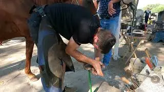 Horse Shoeing Competition