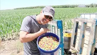 making it Rain Skittles in real life with a cannon