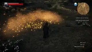 The Witcher 3 