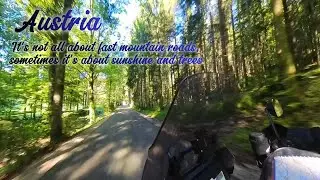 Sunshine and Trees Riding My Harley Pan America Through an Austrian Forest