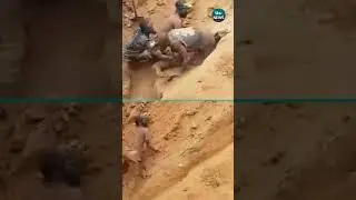 Miners dug out of collapsing mine with bare hands #itvnews #news #drc #rescue