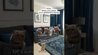 CAT MEMES 🐱 when you meet your girlfriend's family #shorts #catmemes #relatable