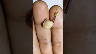 how to install fishing bait #shorts #fishing #fishingbait #tutorial