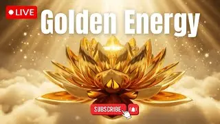 Meditation Music Relax Mind Body LIVE &ndash; Soothing Ambient Soundscape for Anxiety & Focus
