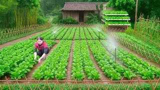 CEO Makes a GIANT Fried Rice Tray for the Whole Village | Growing Ancient Sprouts