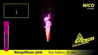 Bengalfeuer Bengalo Pink von Nico Feuerwerk