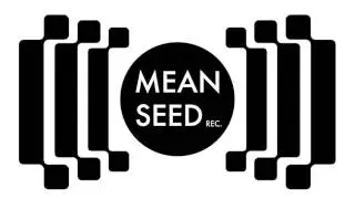 Side B2 - Mikael - Nightbird (Mean Seed Records Vol.1 - MS003)