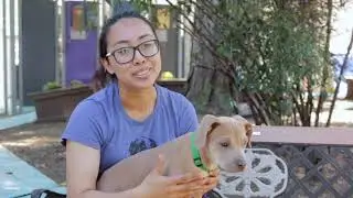 BC SPCA staff video