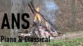 Real Campfire - Piano & Classical Music - Art Nature Sound
