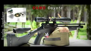 Teste Review | Gamo Coyote 5.5mm - Incrível precisão.