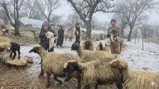 Nomadic Life: Nomadic Survival in Winter ❄️| Nomadic Life Against Snow🫨