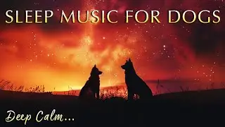 12 Hour Dog Sleep Music&nbsp;💤&nbsp;🐾 Soothing Sounds for Deep Calm & Rest