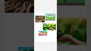 #music #relaxing #cbse #education #cbse #shorts #short #remix #nature #love #kids #project #beauty