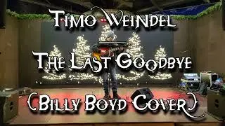 Timo Weindel - The Last Goodbye (Billy Boyd Cover - Live from the Christmas Market 2022)