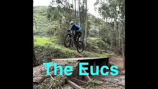 The Eucs | San Louis Obispo, CA