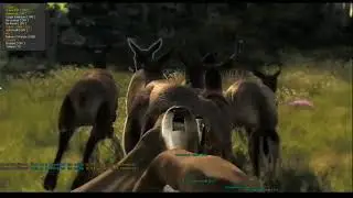 the huner classic hack 2020/ hacker jugando the hunter