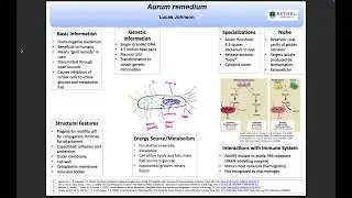 Aurum remidium impact on cancer cells (warburg effect)