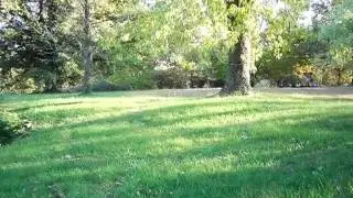 Homes for Sale - Lots Crinoidal Rolla MO 65401 - Gerald Pietsch
