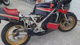 1986 Suzuki RG250 Gamma Walter Wolf start up and walk around