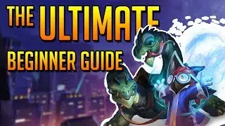 The Ultimate Beginners Guide! | Paladins