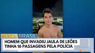 Homem que invadiu jaula de le&otilde;es tinha 16 passagens pela pol&iacute;cia | Bora Brasil
