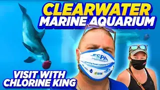 I Finally Met Winter the Dolphin 🐬 | Clearwater Aquarium Tour