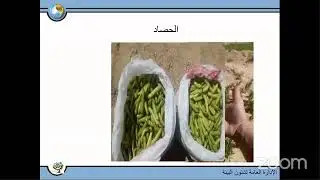 Governance and Reuse Safety Plans - Day 2 - Part 1