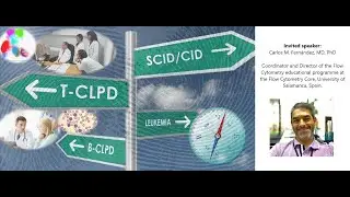 The added value of a screening step in flow cytometry. Much more than a single tube