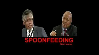 Advocate Ngcukaitobi told Senzo Mchunu to lie and he did this at Madlanga Commission #spoonfeeding