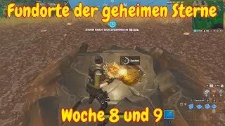 Fortnite Versteckte Sterne von Woche 8 und Woche 9