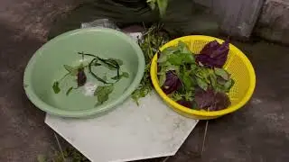 NHÂN VLOG: BỮA CƠM ĐẠM BẠC CỦA HAI CHÚ CHÁU