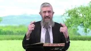 מסכת מנחות דף טז - 8 דקות של לומדות ועמקות בדרך הלימוד הישיבתית [Menachot 16]