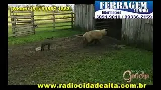 Transmiss&atilde;o ao vivo de R&aacute;dio Cidade Alta