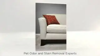 Professional Carpet Cleaners Boise
